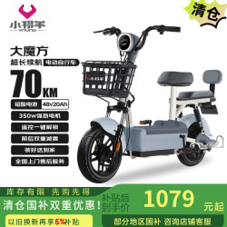 小羚羊 电动自行车大魔方天能/超威铅酸48V20AH续航70km免费送装上门源彩灰