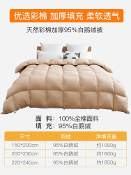 鸿润家纺 HONGRUN Honren 鸿润 WG1703 95%白鹅绒羽绒被 150x200cm 浅咖色