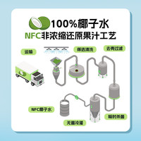 森汽了 电解质 椰子水
