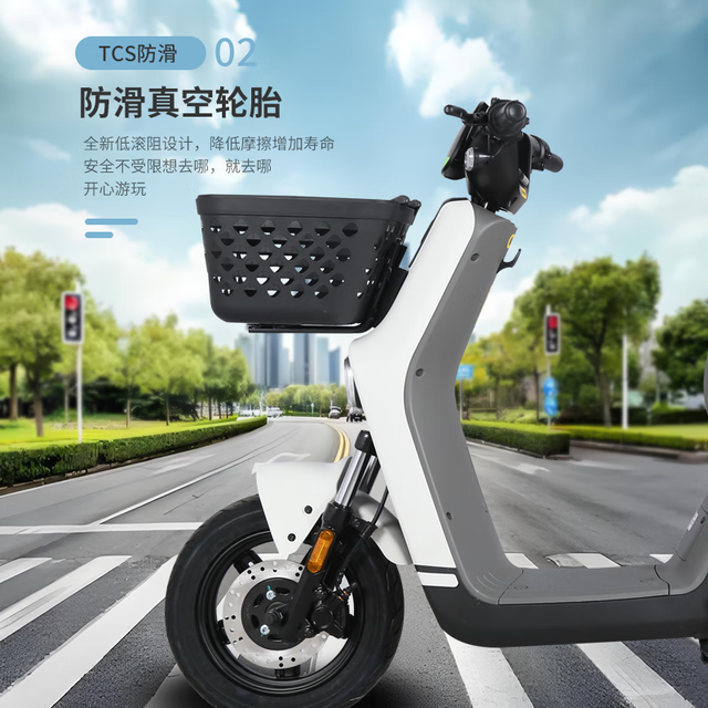 移动端、京东百亿补贴：花小马 电动自行车 M11H48v24ah星恒锂电TCS防滑 终生质保 霜灰映雪