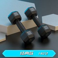 森克斯 哑铃男士家用儿童小学男生宿舍练臂肌套装一对包胶六角亚玲女