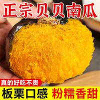 粤迎贝贝南瓜板栗味小南瓜香甜软糯宝宝辅食美味山东早餐好吃粗粮南瓜 5斤 精选果【香甜粉糯】净4.46斤