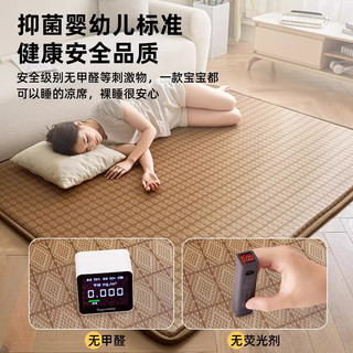 拉夏贝尔夏季冰丝凉席床垫遮盖物家用卧室地垫榻榻米家用藤席垫子