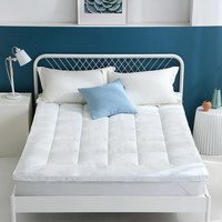 兰叙 A类可水洗加厚床垫有效抗菌家用卧室榻榻米软垫比利