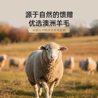 奥若拉A类抗菌防螨100%澳洲羊毛被冬被桑蚕丝被加厚冬季被芯 立体蚕丝澳毛被【A类标准 抗菌防螨 立边更保暖】 220*240cm 总重6斤【双人四季被】