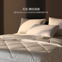 兰叙 利尔 抗菌被 春秋被 150x200cm 抗菌被
