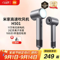 米家 MIJIA GSH501SST 电吹风 雾茶灰