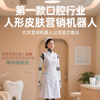 苏萌蒙 龙湃人形皮肤情感陪伴机器人银色 龙湃人形皮肤获客机器人-双灵巧手轮式进阶版