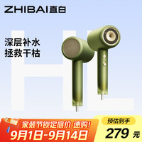 直白 HL6 电吹风 静谧绿