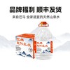 巴马百年 LONGLIFE LONG LIFE 巴马百年 活性泡茶水 5L*2桶 箱装