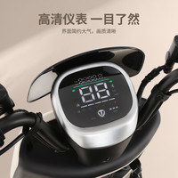 台铃电动车星河2025EB电动自行车新国标可上牌电瓶车成人代步 请到店选购颜色