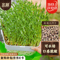 北蔬 麻豌豆种子种苗芽苗菜水培无土栽培蔬菜种籽 北蔬麻豌豆种子500g