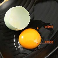 云依禾农庄 农家土鸡蛋 乌鸡蛋