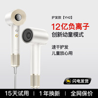 百斯腾 Bestherm 吹风机YH2家用负离子护发速干大风力高速电吹风筒40℃恒温全家都可用