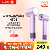 米家 MIJIA GSH501LFP 电吹风 初晴紫