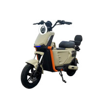 结盟者 深远gt1小牛同款电动车自行车10寸新国标可上牌锂电高速长跑王代步电瓶超长