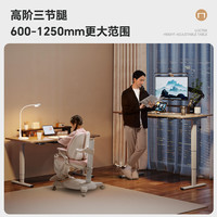 国家补贴：乐歌 E5X 电动升降电脑桌 1.4M 灰木纹色