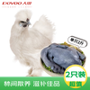 大用 白凤乌鸡净重4斤（2斤*2只）冷冻 十全乌骨鸡 农家土鸡月子鸡炖汤