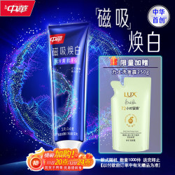 中华牌 中华磁吸焕白牙膏抗牙黄抗牙石美白去渍辰息冰薄香120g*1支 京东自营