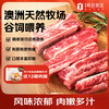 One's Member 1号会员店 澳洲谷饲牛肋条 1kg 烧烤炖煮红烧食材 牛肉生鲜