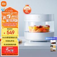 米家 MIJIA MFB04CM 电饭煲 4L