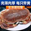 崇鲜 CHONGXIAN 崇鲜 英国面包蟹 600g-800g
