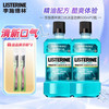 LISTERINE 李施德林 基础护理系列 冰蓝劲爽漱口水 500ml