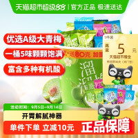 溜溜梅 六味青梅全家桶480g