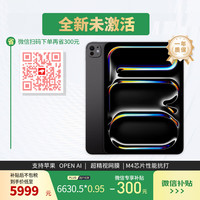 苹果 Apple iPad Pro 2024款 M4版 11英寸 平板电脑 无线局域网机型 256GB 深空黑色