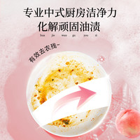 船牌 食品级A类餐具果蔬净洗洁精