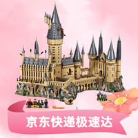 LEGO 乐高 哈利波特系列 76419 霍格沃茨城堡和庭院 拼装积木玩具（1*盒）