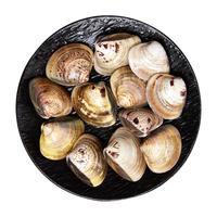 鲜京采 鲜活大文蛤 15-20粒/斤 净重3斤 蛤蜊花蛤生鲜海鲜中秋 源头直发