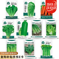 北蔬 秋冬季蔬菜种子套餐 10种