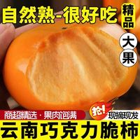 百亿补贴：共雅 正宗脆柿子新鲜应季甜柿子巧克力无核硬柿子 100g*3+30g*2