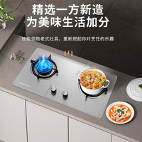 荣事达 燃气灶 双灶煤气灶 家用天然气液化气炉具 猛火鸳鸯灶 五环猛火+不锈钢（天然气)