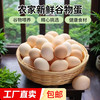 无品牌 农户散养新鲜鸡蛋 50g±5 10枚