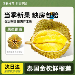 鲜级佳 泰国新鲜榴莲老树果新鲜整个带壳榴莲热带水果 金枕榴莲2-3斤1个装丨