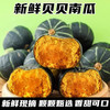 正宗真贝贝南瓜 栗香净重 2.8斤 （单果≥250g）
