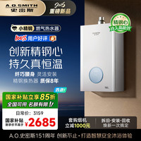 A.O.SMITH 史密斯 佳尼特16升精钢燃气热水器  JSQ31-TCA1 持久恒温大水量 新品