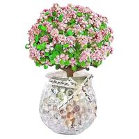 大海边 金枝玉叶绿植盆栽室内客厅阳台卧室水培土培花卉精品多肉盆景 精品金枝玉叶5棵/无盆+营养液