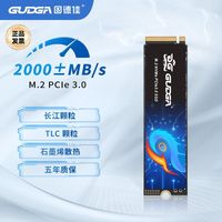 固德佳 GUDGA GV M.2 NVMe PCle3.0 256GB 2280固态硬盘SSD 长江TLC颗粒