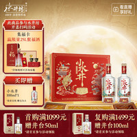 水井坊 小水井 52度 浓香型白酒 500ml*2瓶 礼盒装