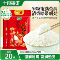十月稻田 SHI YUE DAO TIAN 东北长粒香大米 5kgx2袋