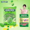 DOUBLEMINT 绿箭 口香糖100片 270g