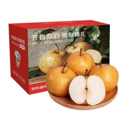 京觅 山东丰水梨  净重4.5斤单果300g+ 新鲜水果源头直发 净重4.5斤 大果6两起
