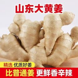 其它 other 生姜山东大姜大黄姜风干姜优质姜新鲜纯天然老姜现挖大块老姜批发500g