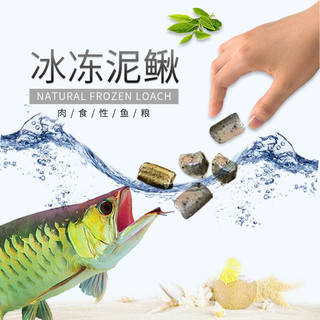 浪花新鲜冷冻泥鳅冰冻泥鳅泥鳅苗饲料林蛙魟鱼龙鱼罗汉鱼地图乌龟鱼食 500g小泥鳅2袋