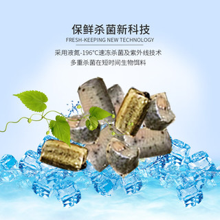 浪花新鲜冷冻泥鳅冰冻泥鳅泥鳅苗饲料林蛙魟鱼龙鱼罗汉鱼地图乌龟鱼食 500g小泥鳅2袋