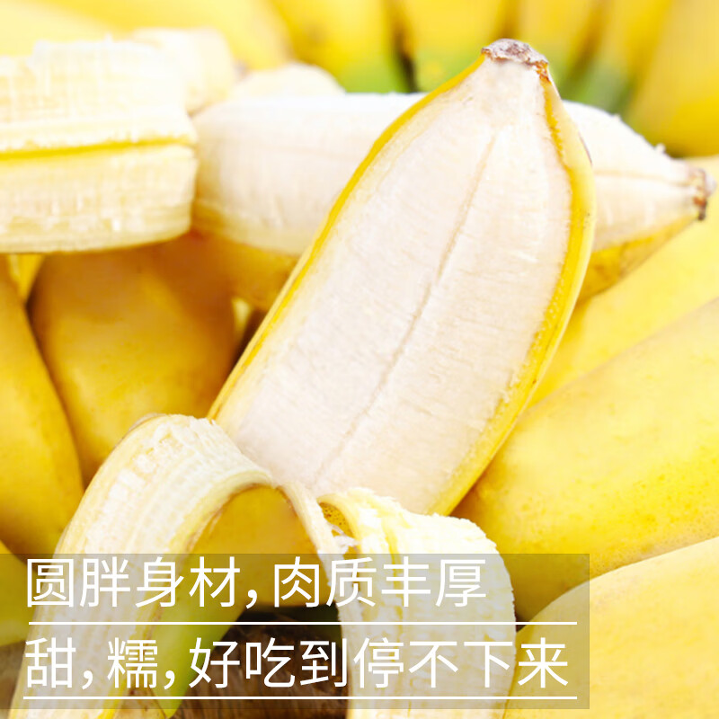 春福乐 广西小米蕉香蕉【源头直发】10水果整斤小香蕉粉蕉自然熟苹果蕉 精选5斤【老农手挑果】净