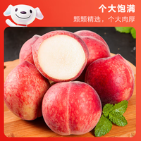 京鲜生 水蜜桃净重5斤单果200g起
